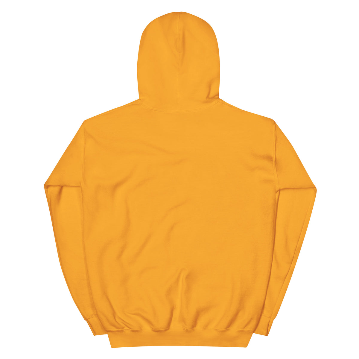 City Gardens Trenton NJ vintage hoodie, Gold, back