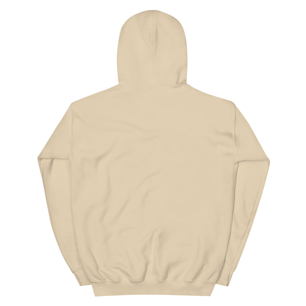 City Gardens Trenton NJ vintage hoodie, Sand, back