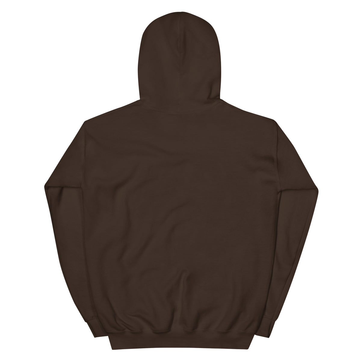 Doorway to Hell Seaside Heights NJ vintage hoodie, Dark Chocolate, back