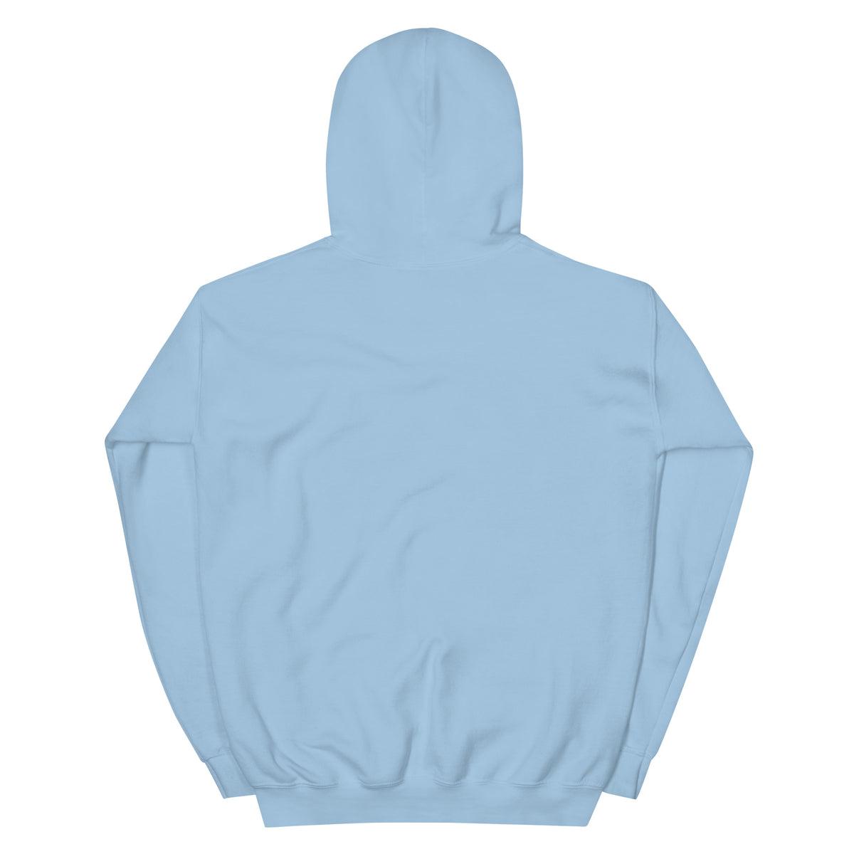 City Gardens Trenton NJ vintage hoodie, Light Blue, back